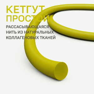 Натуральная рассасывающаяся нить Кетгут простой, аналог CATGUT PLAIN
